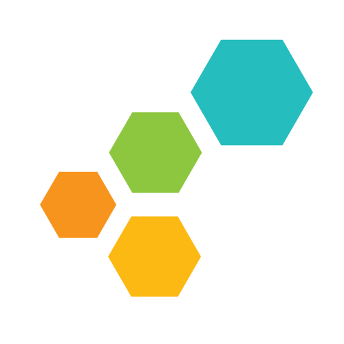 Data Evolution logo